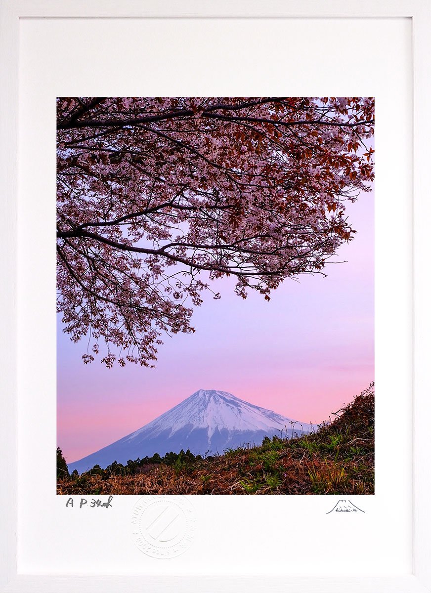 版画 絵画 富士山 日本平の春2 インテリア 壁掛け 額入り 風景画 油絵
