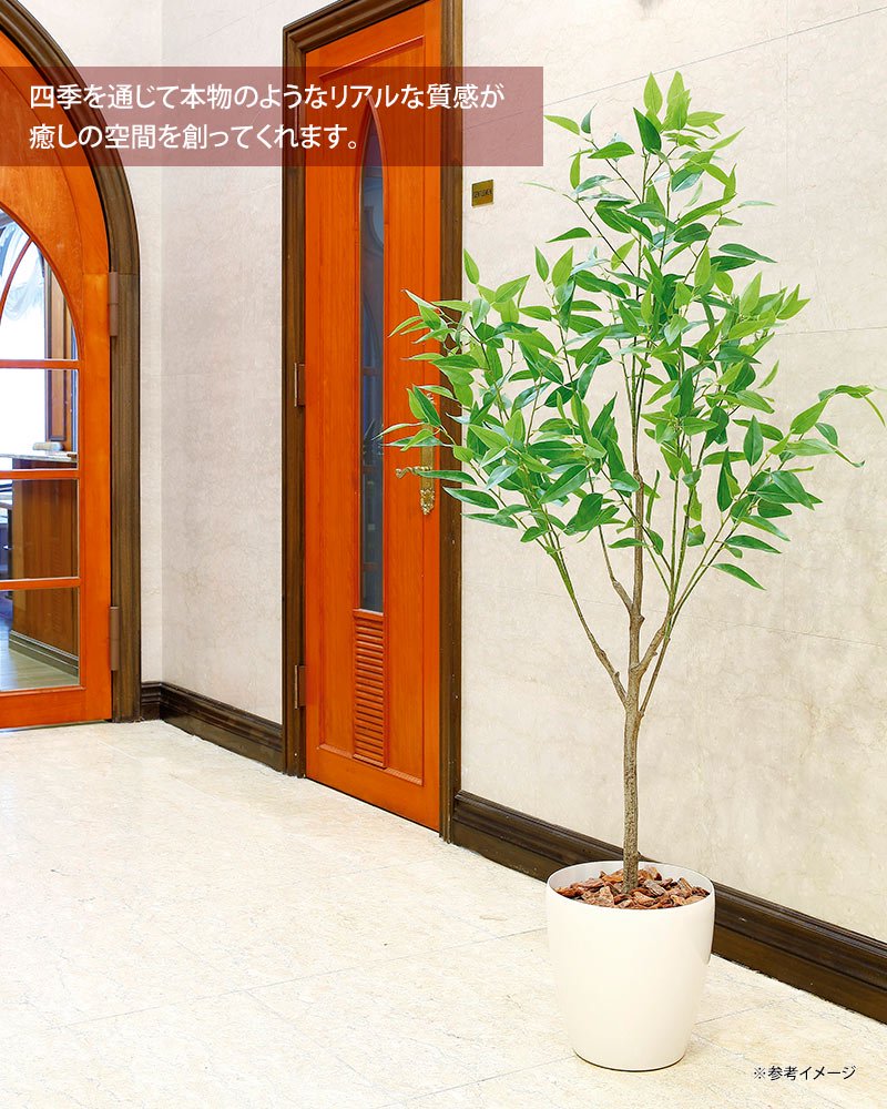 光触媒観葉植物 フレッシュシルバーユーカリ1.7 〔フロアタイプ(ハイサイズ)〕 - 絵画や壁掛け販売｜日本唯一の風景専門店(R)あゆわら