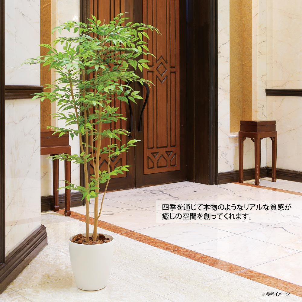 光触媒観葉植物 ソヨゴ90 〔フロアタイプ(ミドルサイズ)〕 - 絵画や