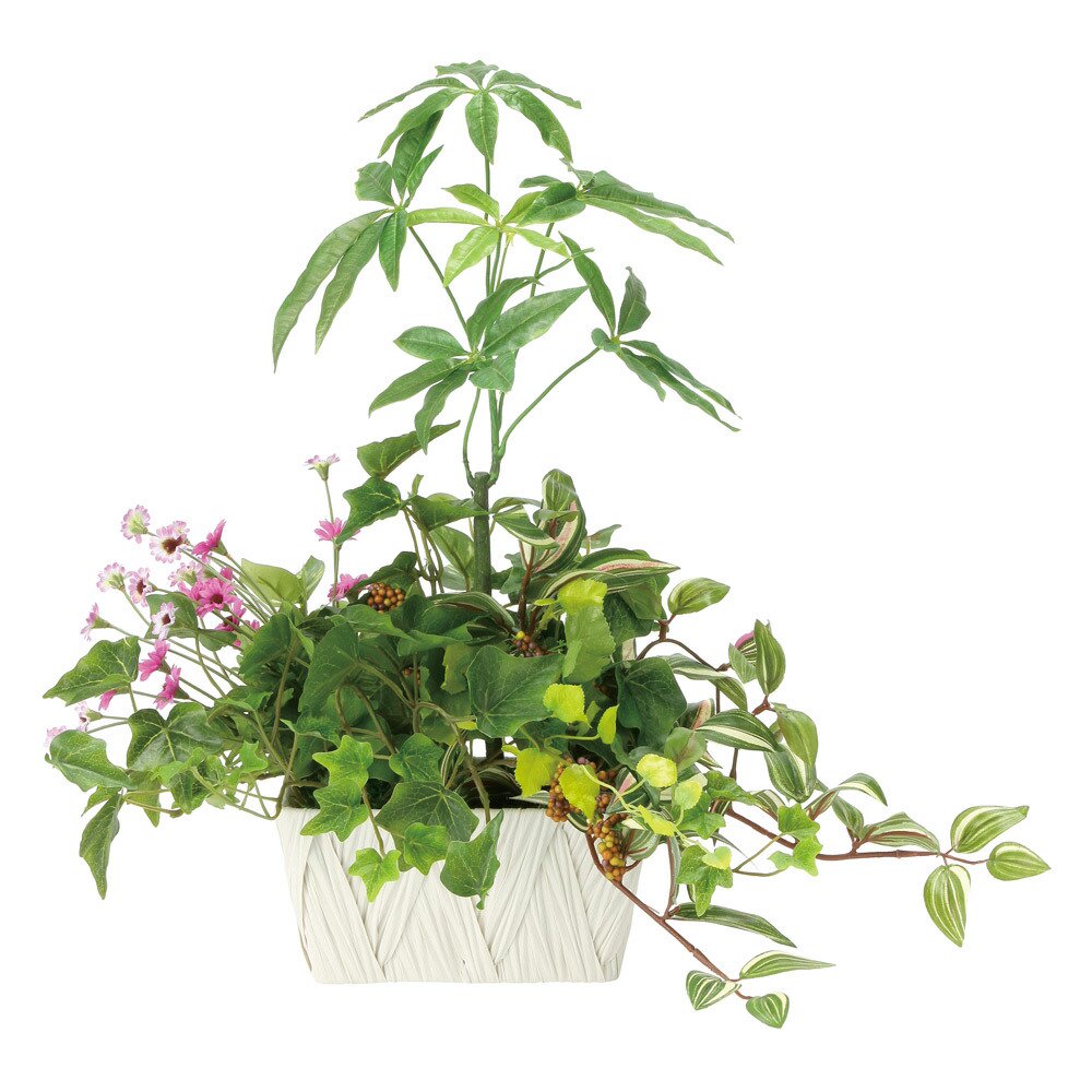 光触媒観葉植物 寄せ植えパキラ 〔テーブルタイプ〕 - 絵画や壁掛け販売｜日本唯一の風景専門店(R)あゆわら