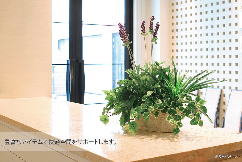 光触媒観葉植物 寄せ植えパキラ 〔テーブルタイプ〕 - 絵画や壁掛け販売｜日本唯一の風景専門店(R)あゆわら