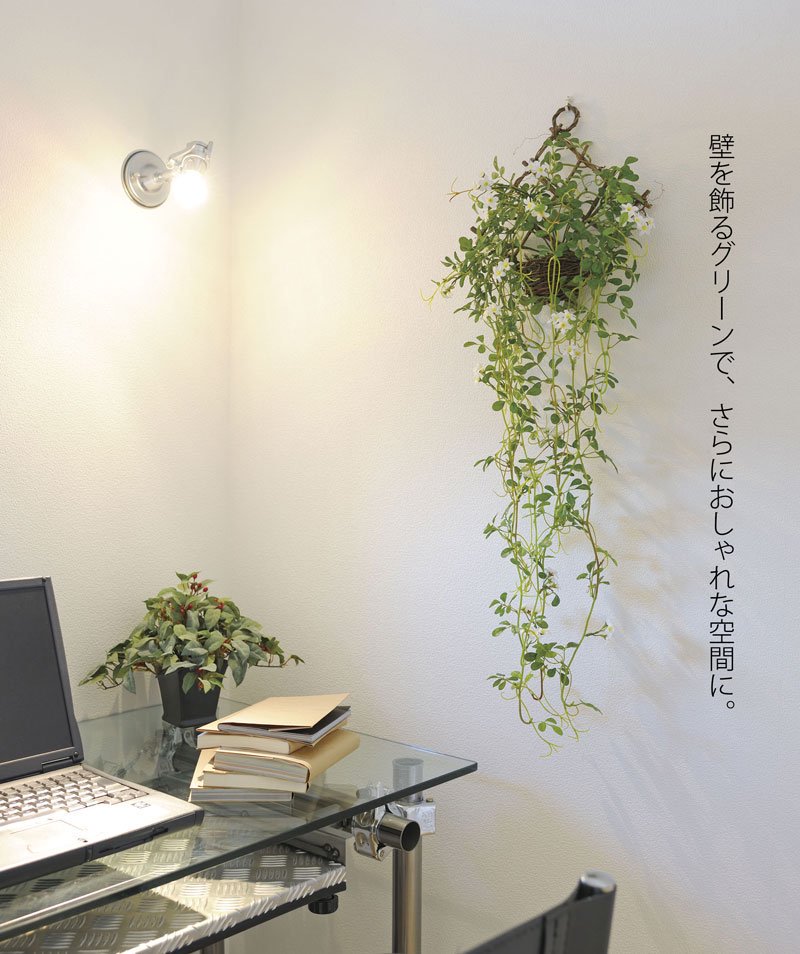 光触媒観葉植物 ウイローグラスバイン 〔壁掛けタイプ〕 - 絵画や壁掛け販売｜日本唯一の風景専門店(R)あゆわら