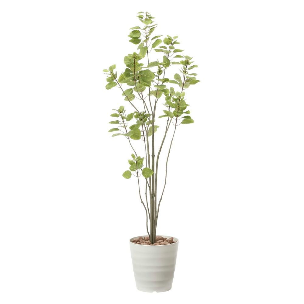光触媒観葉植物 フィカスブランチツリー1.7 〔フロアタイプ(ハイサイズ)〕
