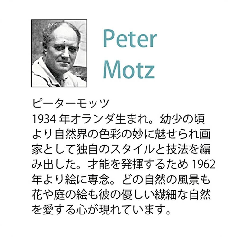 絵画 ピーター モッツ オーシャン パス