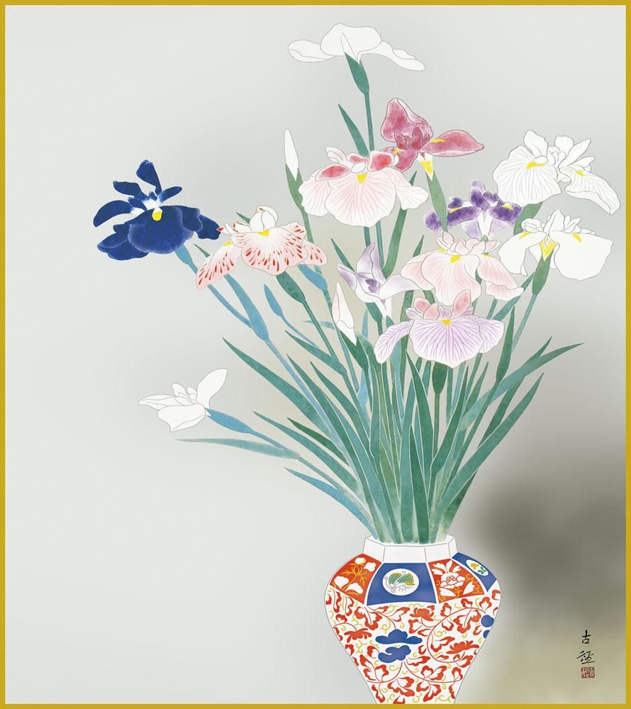 色紙 色紙掛けなし 色紙絵 和風 菖蒲 小林古径 モダン 掛軸 床の間 和室 おしゃれ 壁掛け 絵
