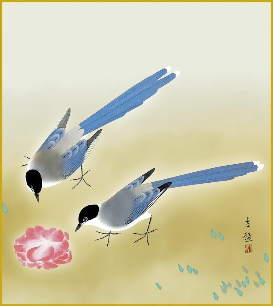 色紙 色紙掛けなし 色紙絵 和風 尾長鳥 小林古径 モダン 掛軸 床の間 和室 おしゃれ 壁掛け 絵