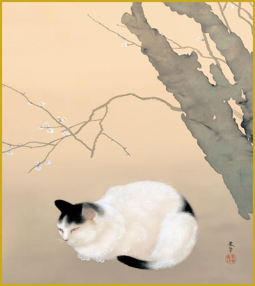 色紙 色紙掛けなし 色紙絵 和風 猫梅 菱田春草 モダン 掛軸 床の間 和室 おしゃれ 壁掛け 絵