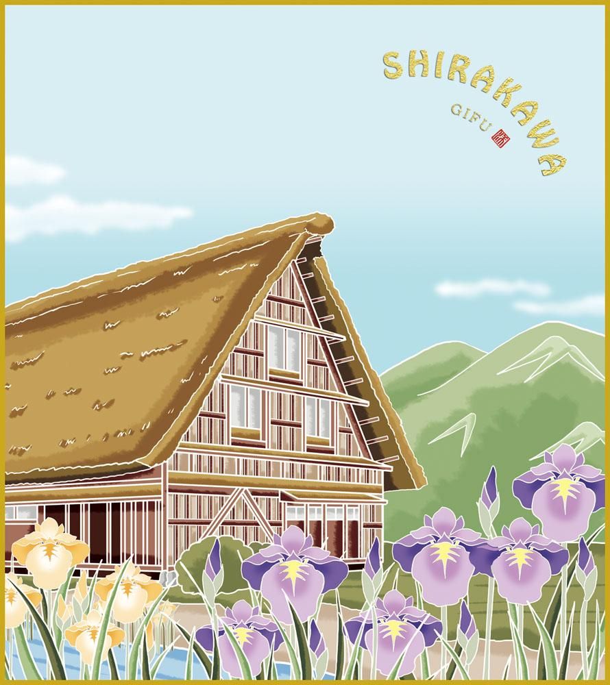 色紙 色紙掛けなし 色紙絵 和風 白川郷 菖蒲 モダン 掛軸 床の間 和室 おしゃれ 壁掛け 絵