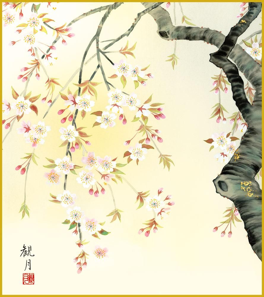 色紙 色紙掛けなし 色紙絵 和風 桜花爛漫 モダン 掛軸 床の間 和室 おしゃれ 壁掛け 絵