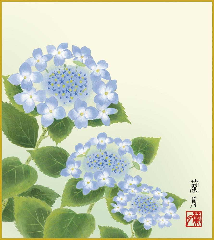 色紙 色紙掛けなし 色紙絵 和風 紫陽花 モダン 掛軸 床の間 和室 おしゃれ 壁掛け 絵