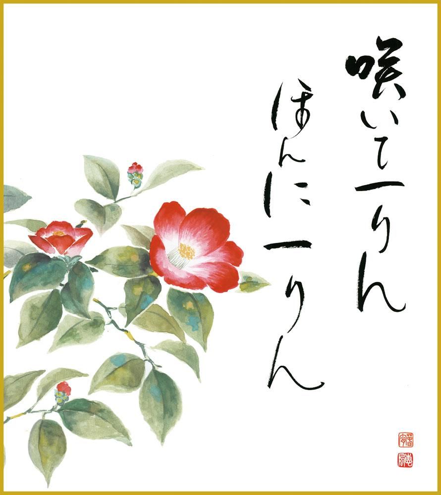 色紙 色紙掛けなし 色紙絵 和風 寒椿 モダン 掛軸 床の間 和室 おしゃれ 壁掛け 絵