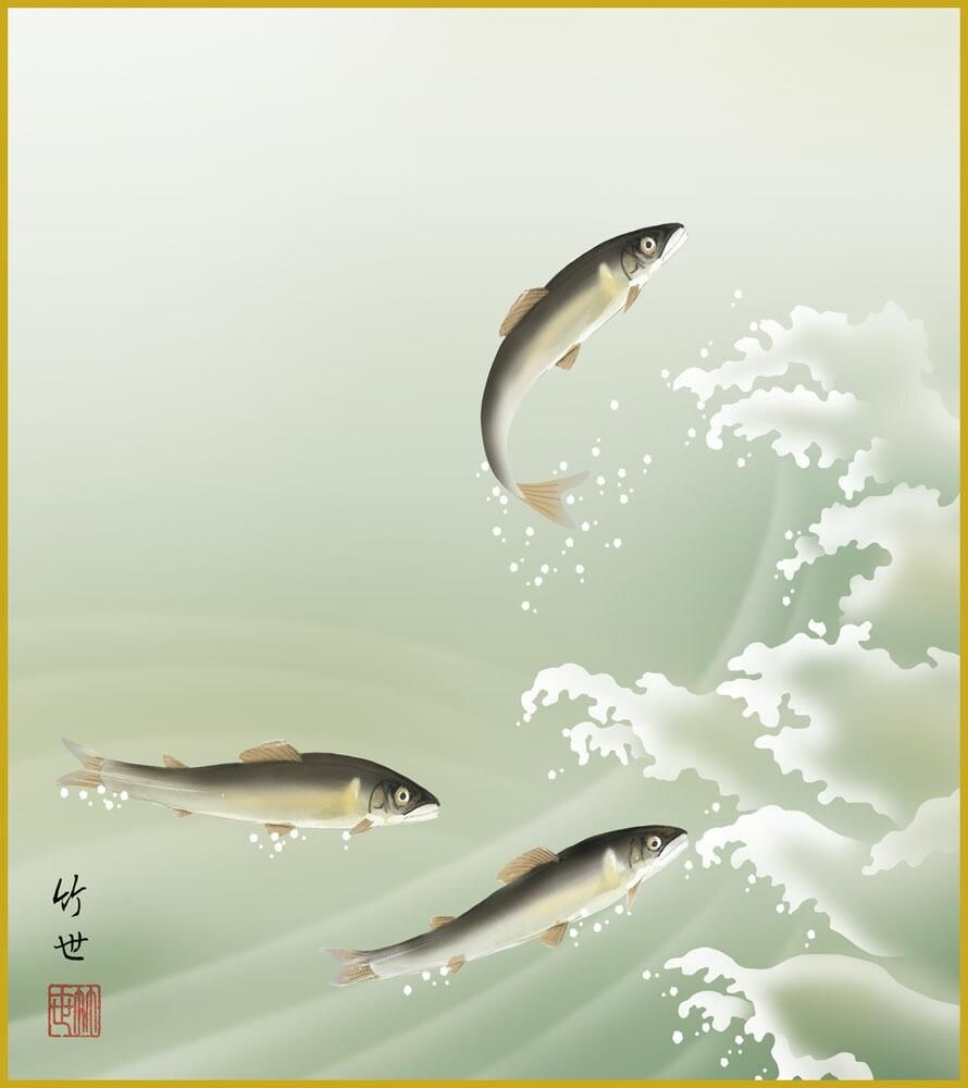色紙 色紙掛けなし 色紙絵 和風 鮎 モダン 掛軸 床の間 和室 おしゃれ 壁掛け 絵