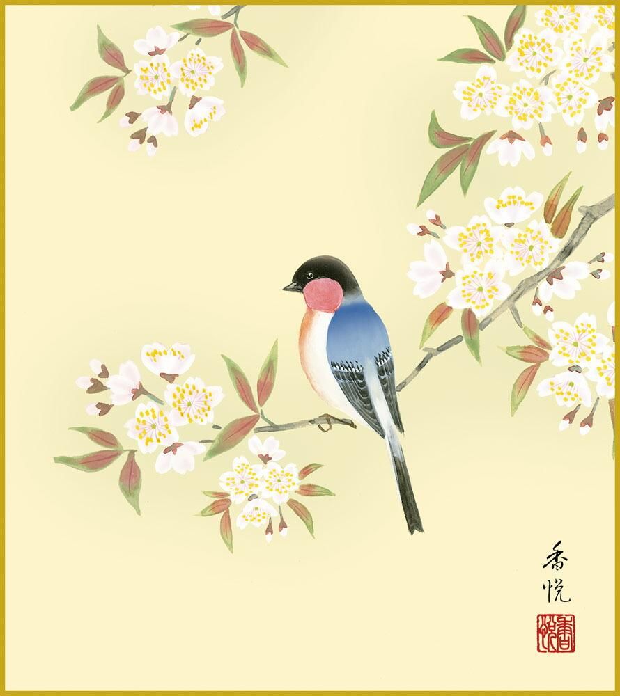 色紙 色紙掛けなし 色紙絵 和風 桜に瑠璃鳥 モダン 掛軸 床の間 和室 おしゃれ 壁掛け 絵