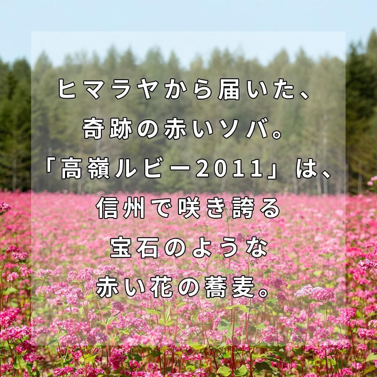 紅白の餅蕎麦セット 見て美しい 食べておいしい 希少種 赤そば 古代米 長野の山奥で守り伝わる日本の原風景 手軽さ 懐かしい味 有機栽培 正月 アウトドア 無添加 幻の餅 白毛もち 赤そば