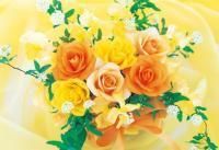 《ジグソーパズル》SSシアワセブーケ