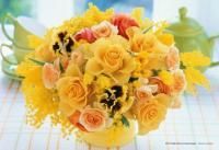 《ジグソーパズル》イエロードルチェ