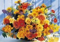 《ジグソーパズル》SSスイートタイム