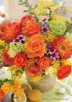 《ジグソーパズル》パワー・オレンジ