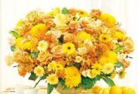 《ジグソーパズル》夢が叶う パワフルイエロー