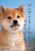 《ジグソーパズル》知ってるよ・ペット