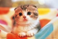 《ジグソーパズル》スウィート・ドリーム・ペット