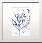 ԥȥե졼Helena Sellergren Blue-series1(椦ѥå)
