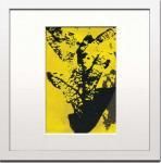 ԥȥե졼Helena Sellergren Yellow leaf(椦ѥå)