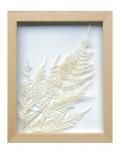 ԥץȥե졼PLANTE Frame Bracken fern()(椦ѥå)