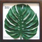 ԥ꡼եѥͥF-style Frame Monstera(󥹥ƥ)