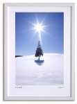 《アートフォト》クリスマスツリーの木と太陽3/美瑛町〔富良野・高橋真澄〕(レンタル対象)
