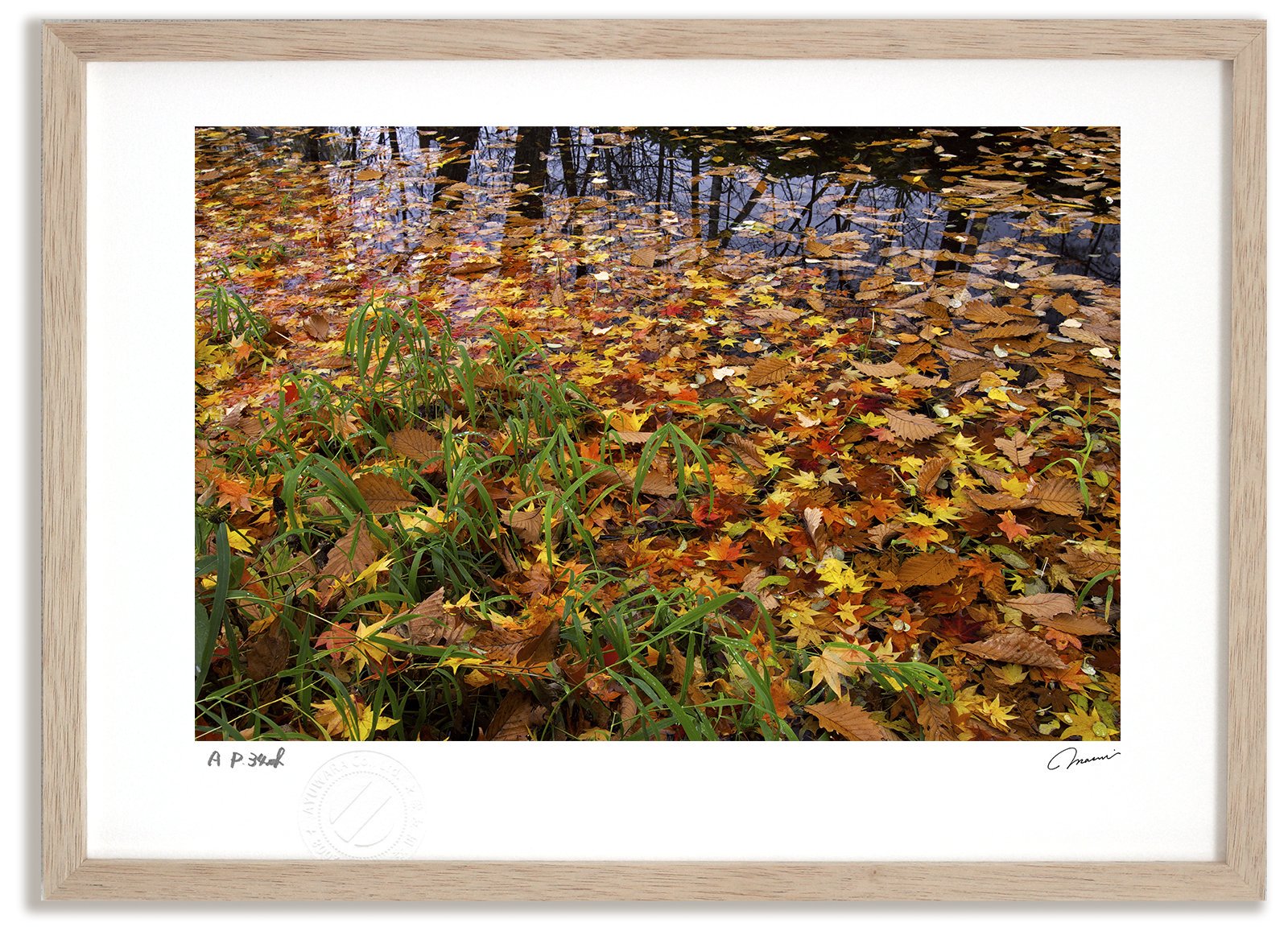 アートフォト》紅葉の鳥沼1/富良野市〔富良野・高橋真澄〕(レンタル対象) - 絵画や壁掛け販売｜日本唯一の風景専門店(R)あゆわら