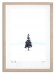 《アートフォト》クリスマスツリーの木4/美瑛町〔富良野・高橋真澄〕(レンタル対象)