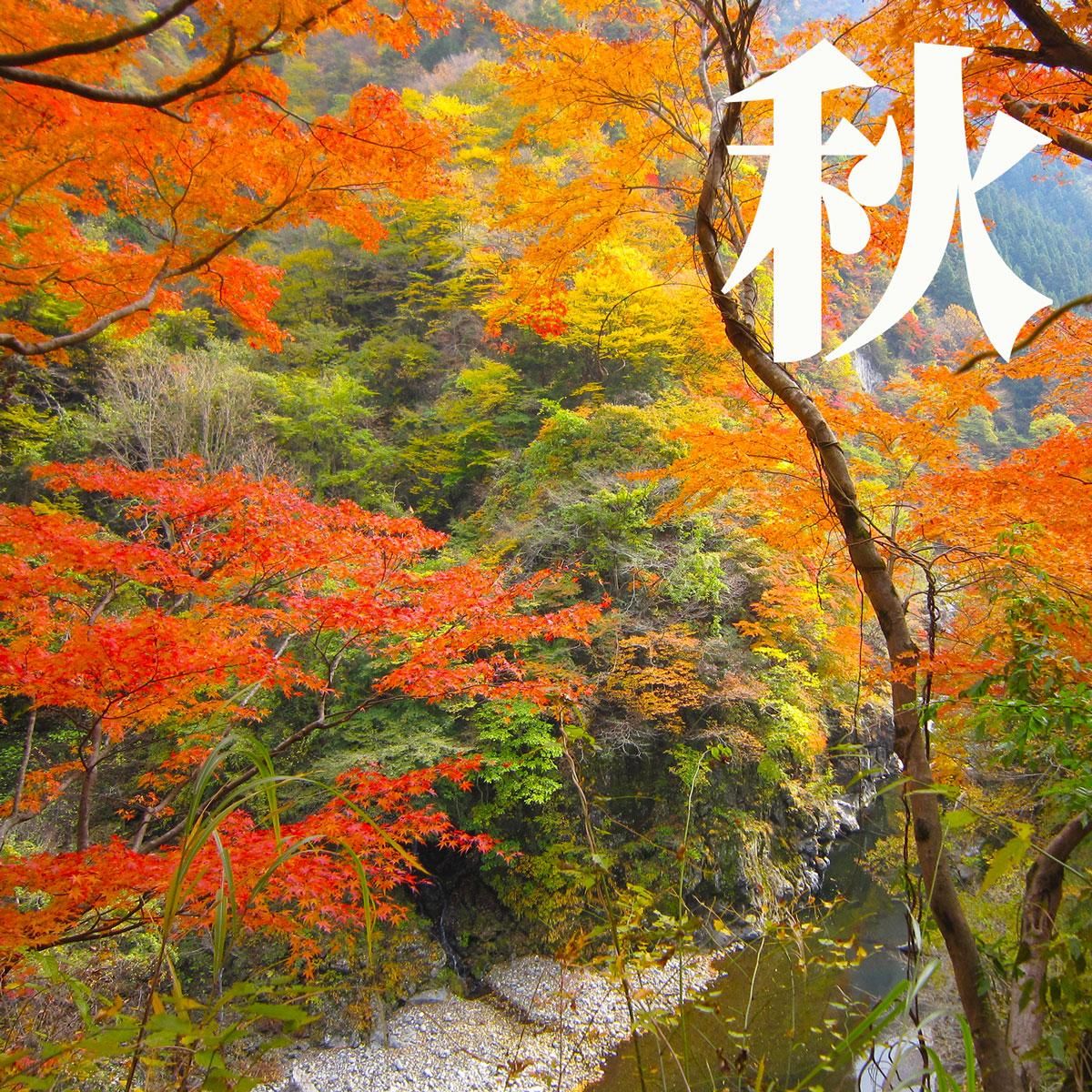 ¡Ô¥Ê¥Á¥å¥é¥ë¥ß¥Í¥é¥ë¥¦¥©¡¼¥¿¡¼¡ÕÃáÉ㸻ή¿å¡¡2L¥Ú¥Ã¥È¥Ü¥È¥ë10ËÜÆþ¤ê¡ß1È¢