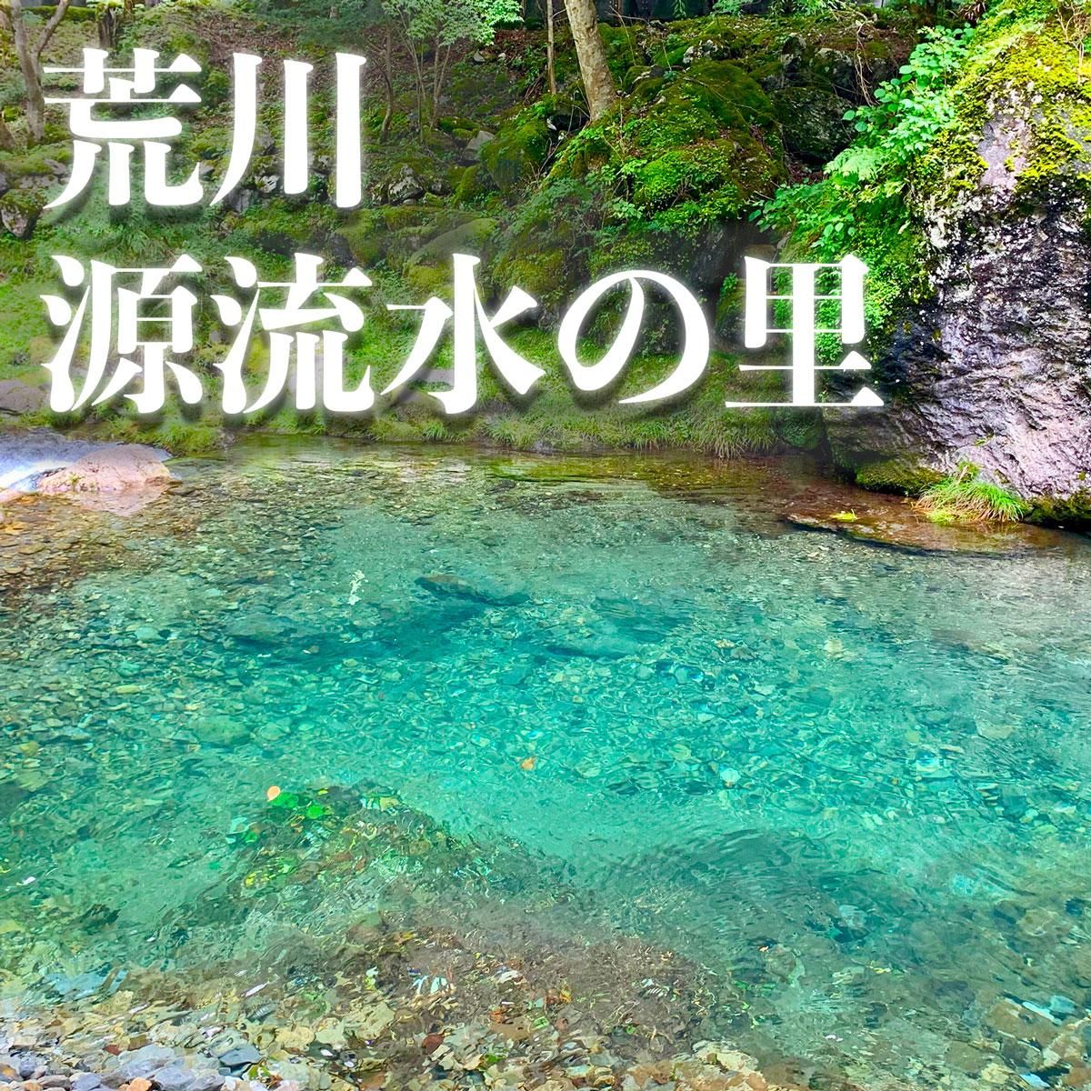 ¡Ô¥Ê¥Á¥å¥é¥ë¥ß¥Í¥é¥ë¥¦¥©¡¼¥¿¡¼¡ÕÃáÉ㸻ή¿å¡¡500ml¥Ú¥Ã¥È¥Ü¥È¥ë24ËÜÆþ¤ê¡ß1È¢
