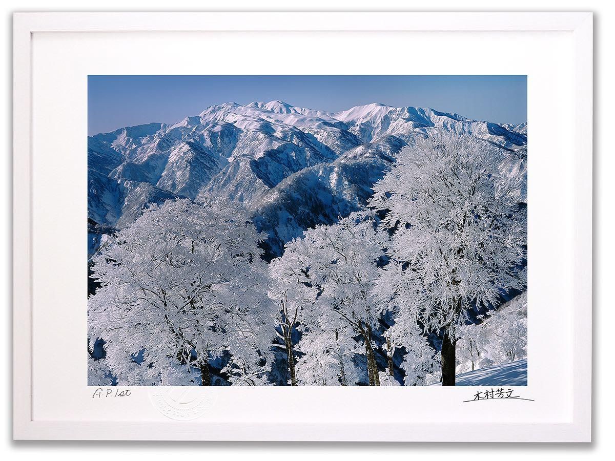《アートフォトフレーム》ブナの樹氷と白山/白山〔白山・木村芳文〕