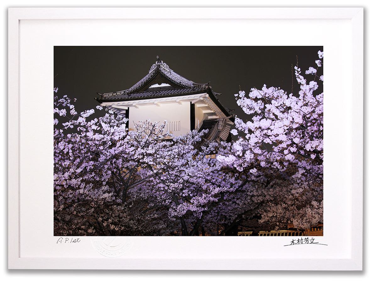 アートフォトフレーム》金沢城石川門の夜桜/金沢市〔白山・木村芳文