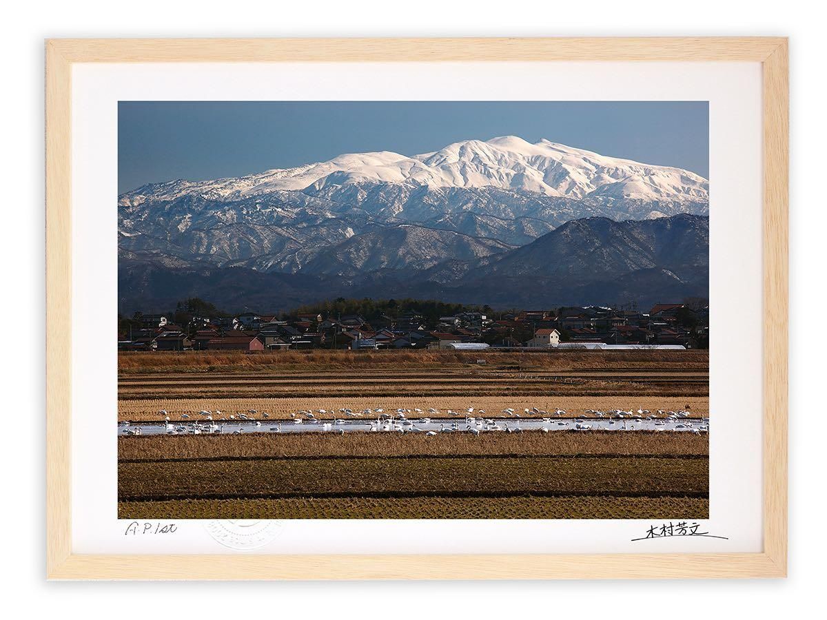 《アートフォトフレーム》白山と白鳥の群/加賀市〔白山・木村芳文〕
