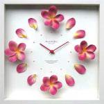 ԻסPlumeria Clock Pink(ץꥢ å ԥ)