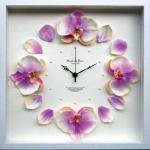 ԻסOrchid clock Purple(å/Υ å ѡץ)