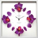 ԻסCattleya clock Purple(ȥ/Υ å ѡץ)
