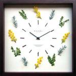 ԻסDisplay Clock Mimosa(ǥץ쥤 å ߥ⥶)