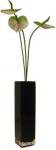 ¤֡ӡF-style Vase Anthurium/Green(ե ١ 󥹥ꥦ/꡼)