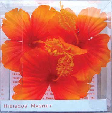 マグネット Hibiscus Magnet Orange ハイビスカス マグネット オレンジ 絵画や壁掛け販売 日本唯一の風景専門店 R あゆわら