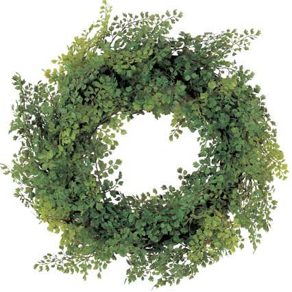 フェイクグリーン Display Green Adiantum Wreath ディスプレイ グリーン アジアンタム リース 花輪 絵画や壁掛け販売 日本唯一の風景専門店 R あゆわら