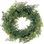 ԥե꡼Display green adiantum wreath(ǥץ쥤 ꡼ 󥿥 ꡼/)