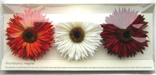 《マグネット》Gerbera Magnet Orange,Cream,WineRed