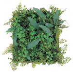 ԥե꡼Display green mix fern mini mat