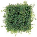 ԥե꡼Display green button leaf & fern mini mat