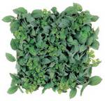 ԥե꡼Display green oregano&parsley fern mini mat