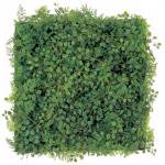 ԥե꡼Display green button leaf & fern mat